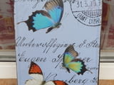 Метална табела пеперуди цветни летят животни свят пеперудки